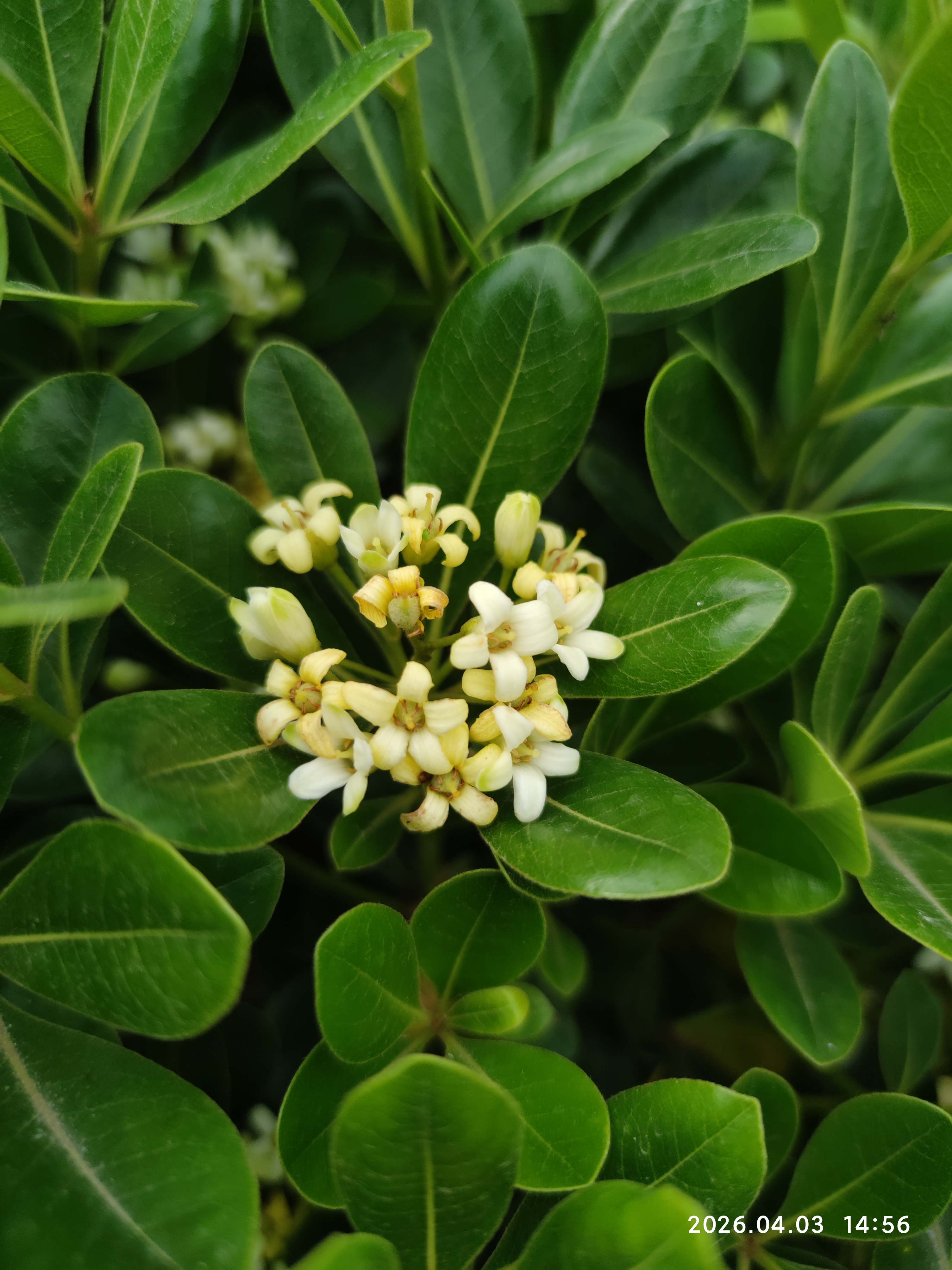 测试文章[来自前端投稿]